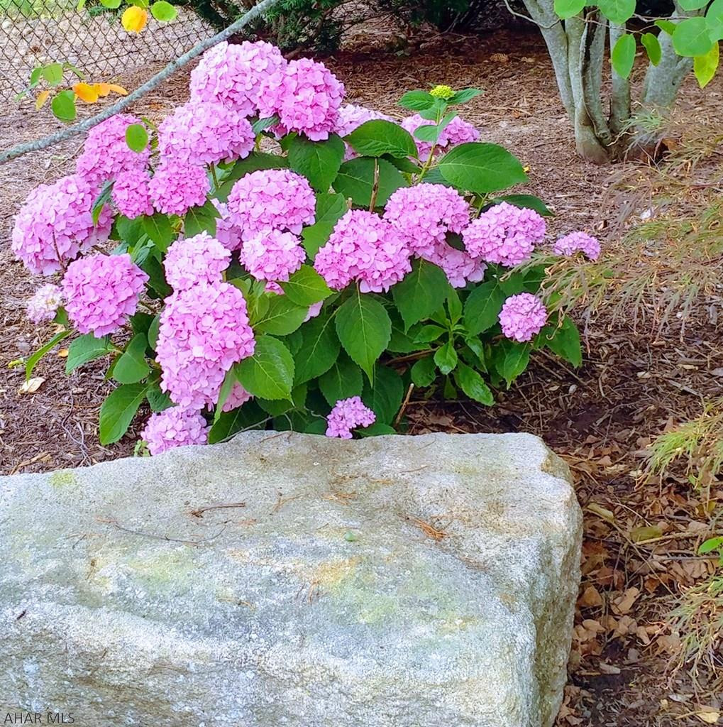 Hazenstab Development - Residential