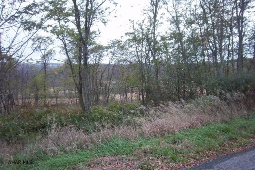 GREAT LOCATION AT A GREAT PRICE, VERY PRIVATE IN A BEAUTIFUL COUNTRY SETTING !!!! THIS IS A ONE ACRE LOT WITH TONS OF POSSIBILITES.. DON'T MISS THIS ONE !!!