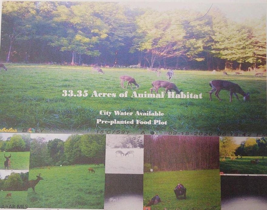 33.352 wooded acres on Utahville Road, across from Weld Cemetery Road - between Coalport & Utahville. Nice rural location. Has 8 perc sites and is considered suitable for subdivision. The land has good topography. Lots of hard road frontage. Great hunting property with wooded land and food plots. Beautiful site about half hour from Altoona and 10 minutes from Glendale Lake and Rock Run Recreation Area.