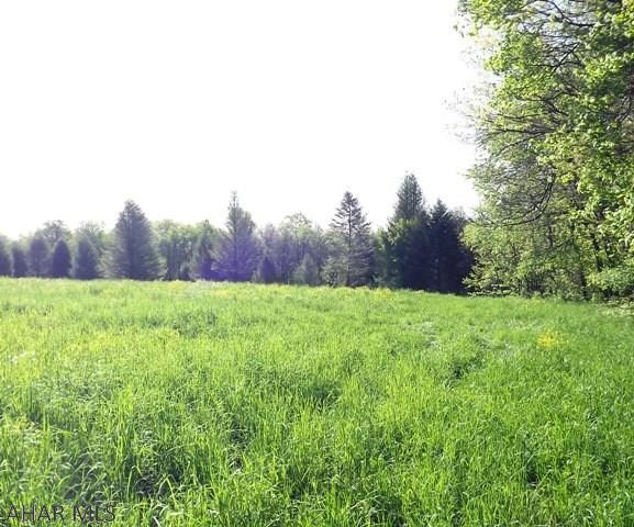 Spruce Hill Estates - Land