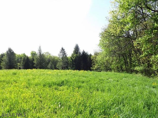 Spruce Hill Estates - Land