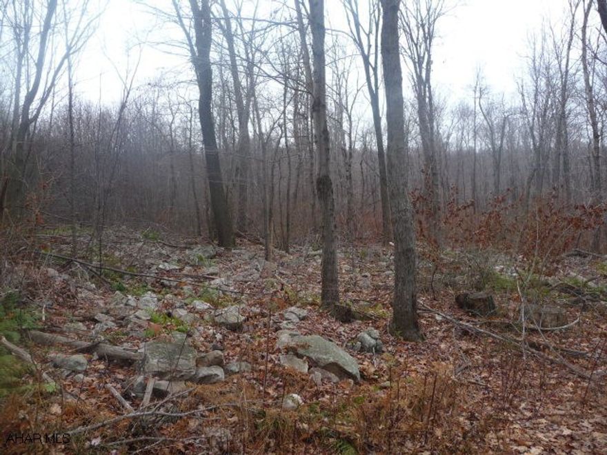 Nice wooded, 26.7 acre parcel of mountain land with some mixed timber and mountain stone. Property was recently surveyed with all corners visibly marked. This is a great hunting property or place to build a getaway place. Listing agent will accompany all showings.