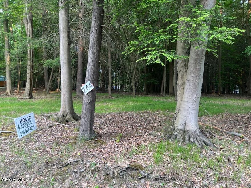 Great opportunity to build your Dream Home, on a 1 AC, flat lot, in the homesite section of Glendale Yearound (a gated community) near Prince Gallitzin State Park. Amenities include use of swimming pool, dog park, playgrounds pavilions, tennis, basketball and volleyball! Public water/sewer available - buyer to pay tap fees. MOTIVATED SELLER!