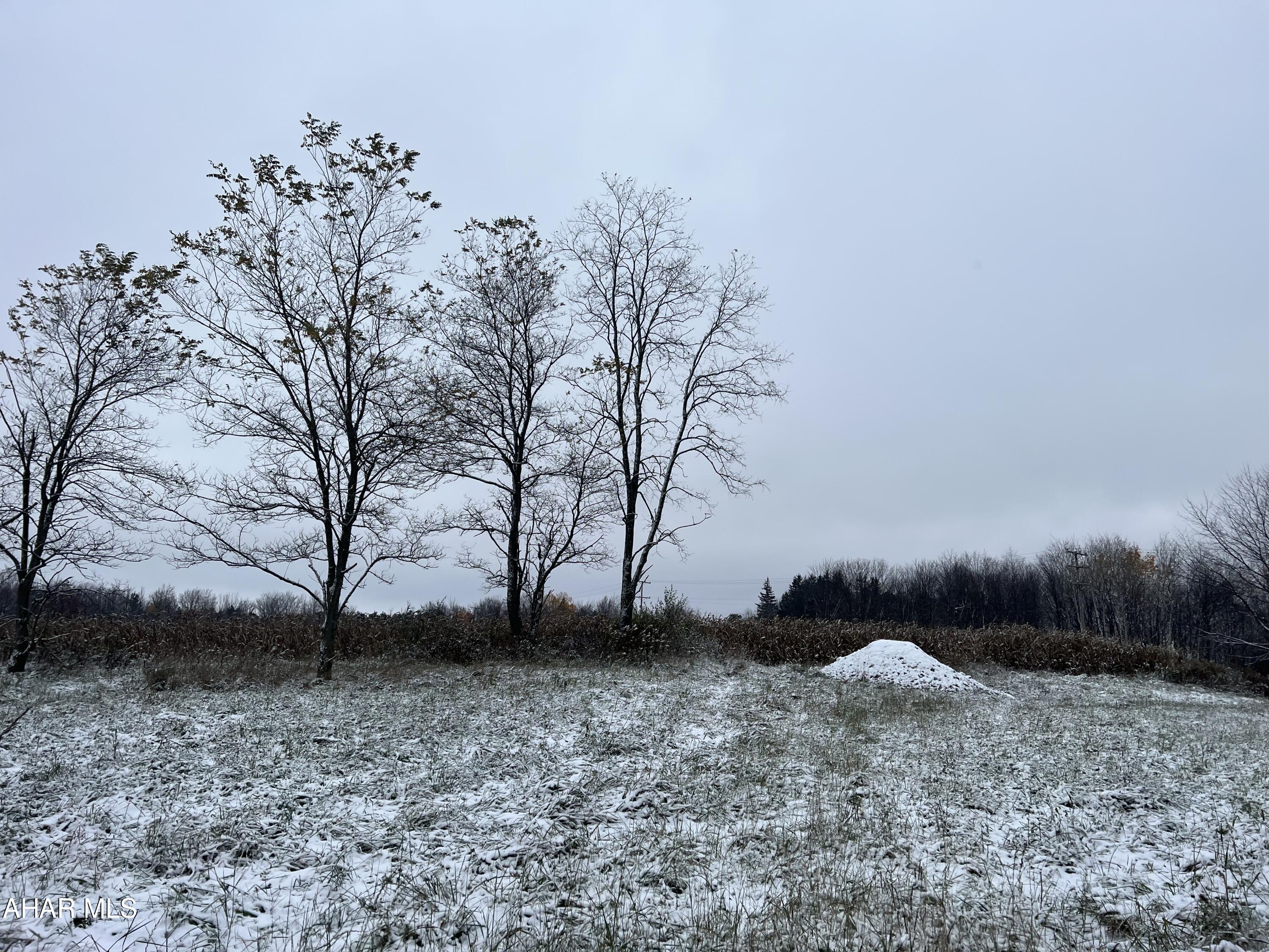 None - Commercial Sale