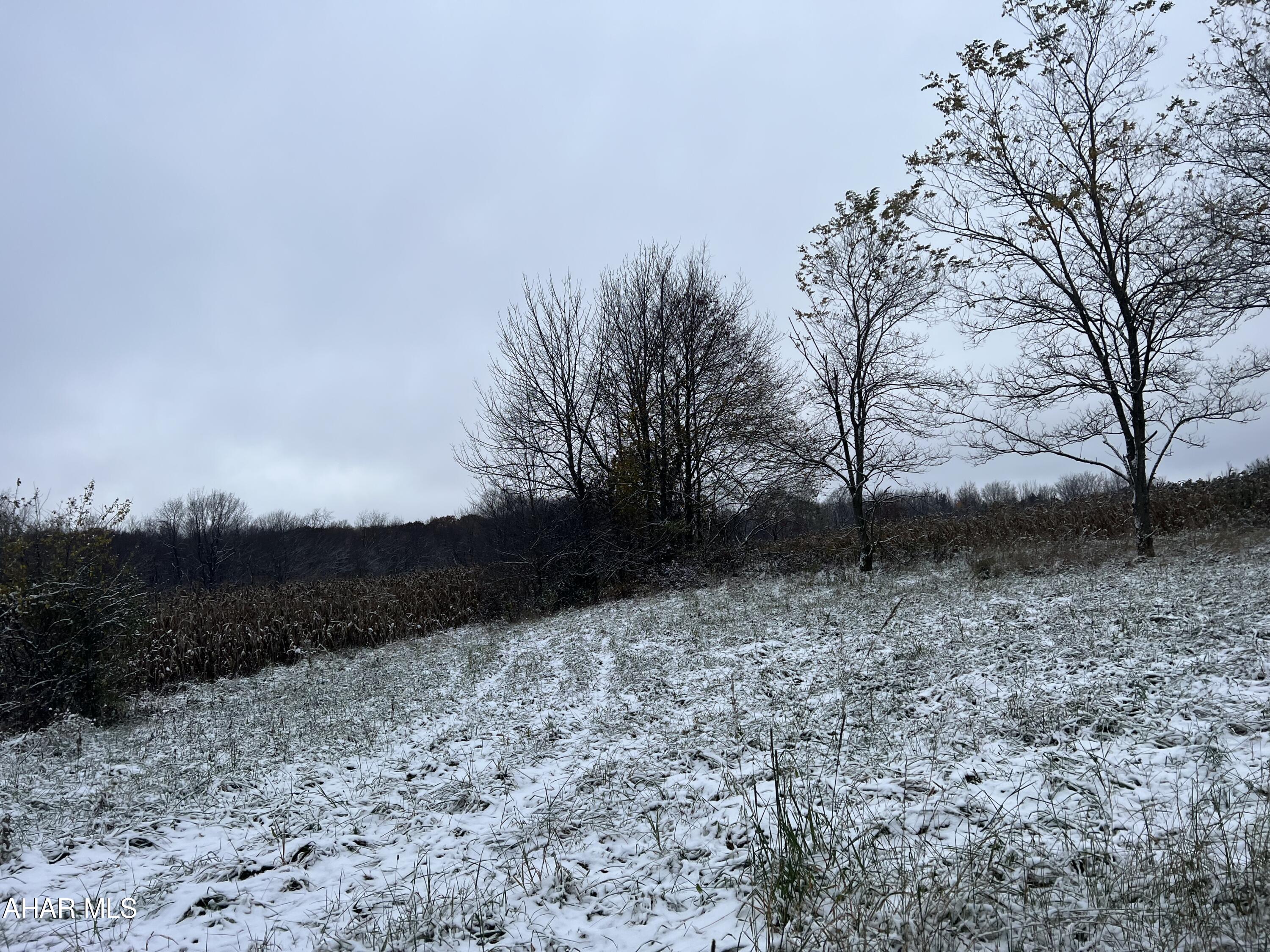 None - Commercial Sale