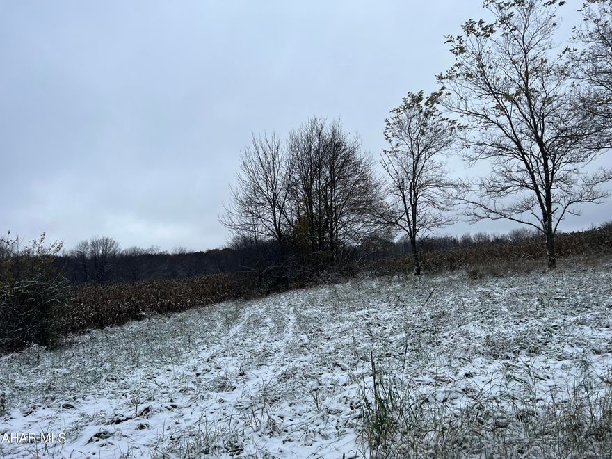 Former Reade Township Ball Field. Frontage on SR 865 and T-567 - corner site with public water and sewer available. Nice homesite or subdivision. Mostly cleared land. Survey in file. Water tap in fee is $2,500 and Sewer tap in fee is $1570.( as per Glendale Valley Mun Authority).