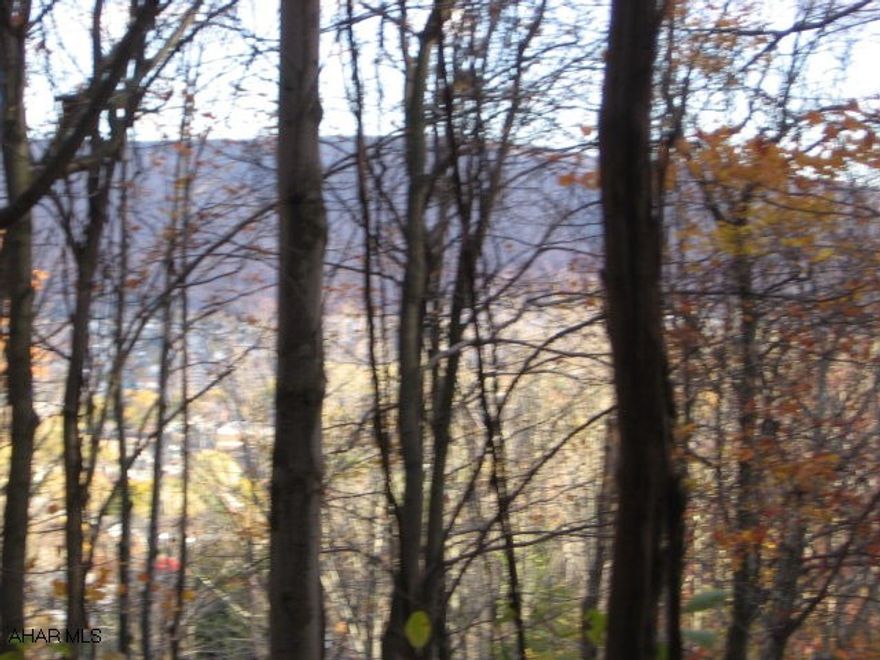 Gently sloping wooded lot near Beverly Hills, in Logan Township, close to Campus. Peaceful quiet serene setting, type of water and sewer unknown, Buyer to confirm,.814 Acres J-032