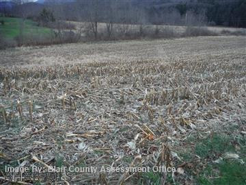 Turkey Valley - Land