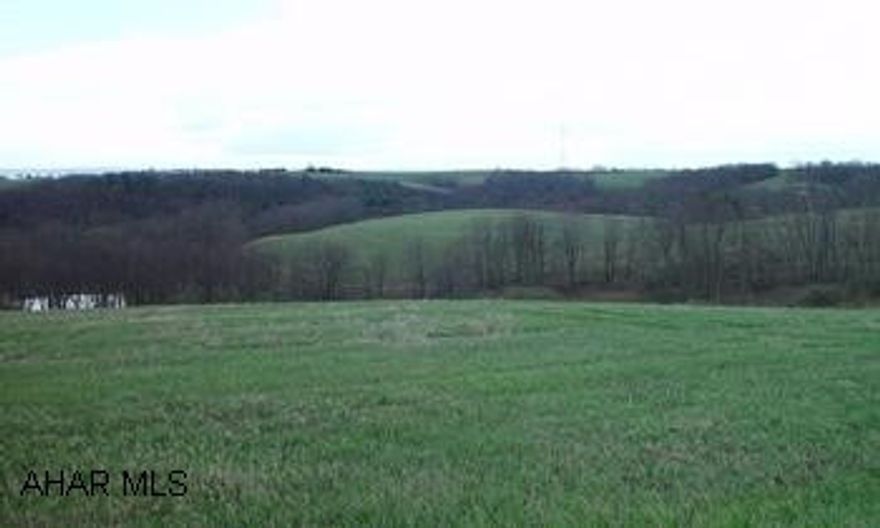 Approx 10 acres (presently being surveyed) and perked. Has some of the best Bedford County Views. Buyer paid $10,000 over list price for construction of pond.