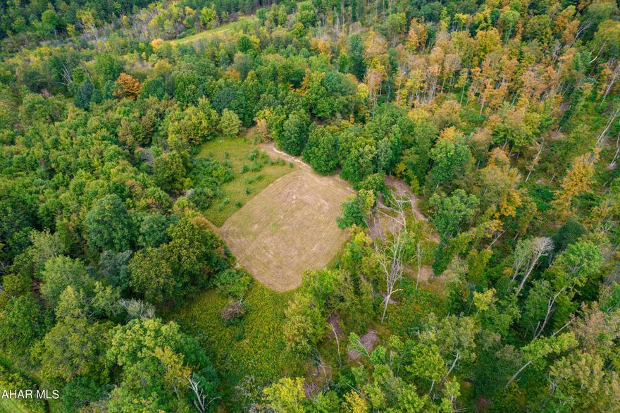 42 acres of vacant land adjoining State Game Lands!! Prime parcel for hunting and recreational use. Public road frontage and within close proximity to supporting amenities. Great getaway property to enjoy what nature has to offer!
