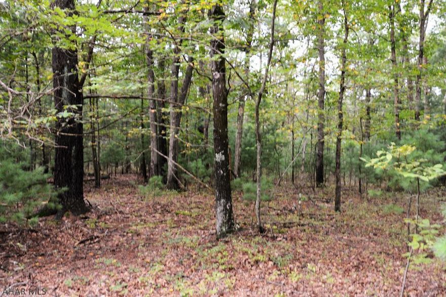 Nice wooded parcel of land consisting of 10 plus acres. Would make a nice place to build a getaway or full time residence. Small seasonal stream on property and located not far from State Land. Adjacent cabin with 6.84 Acres available.
