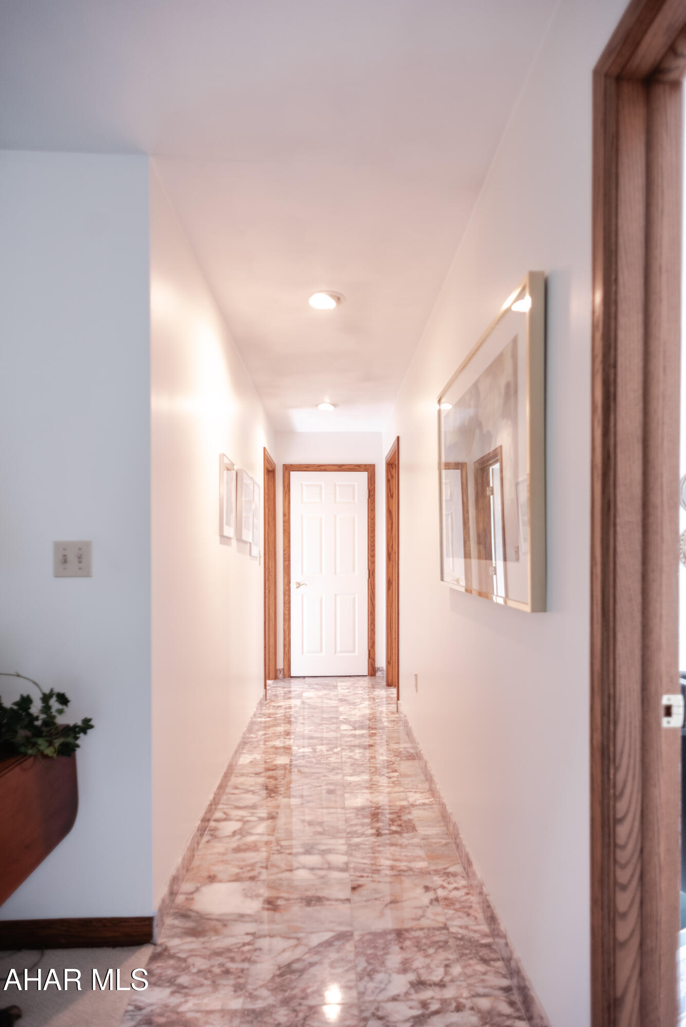 Elmwood - Residential