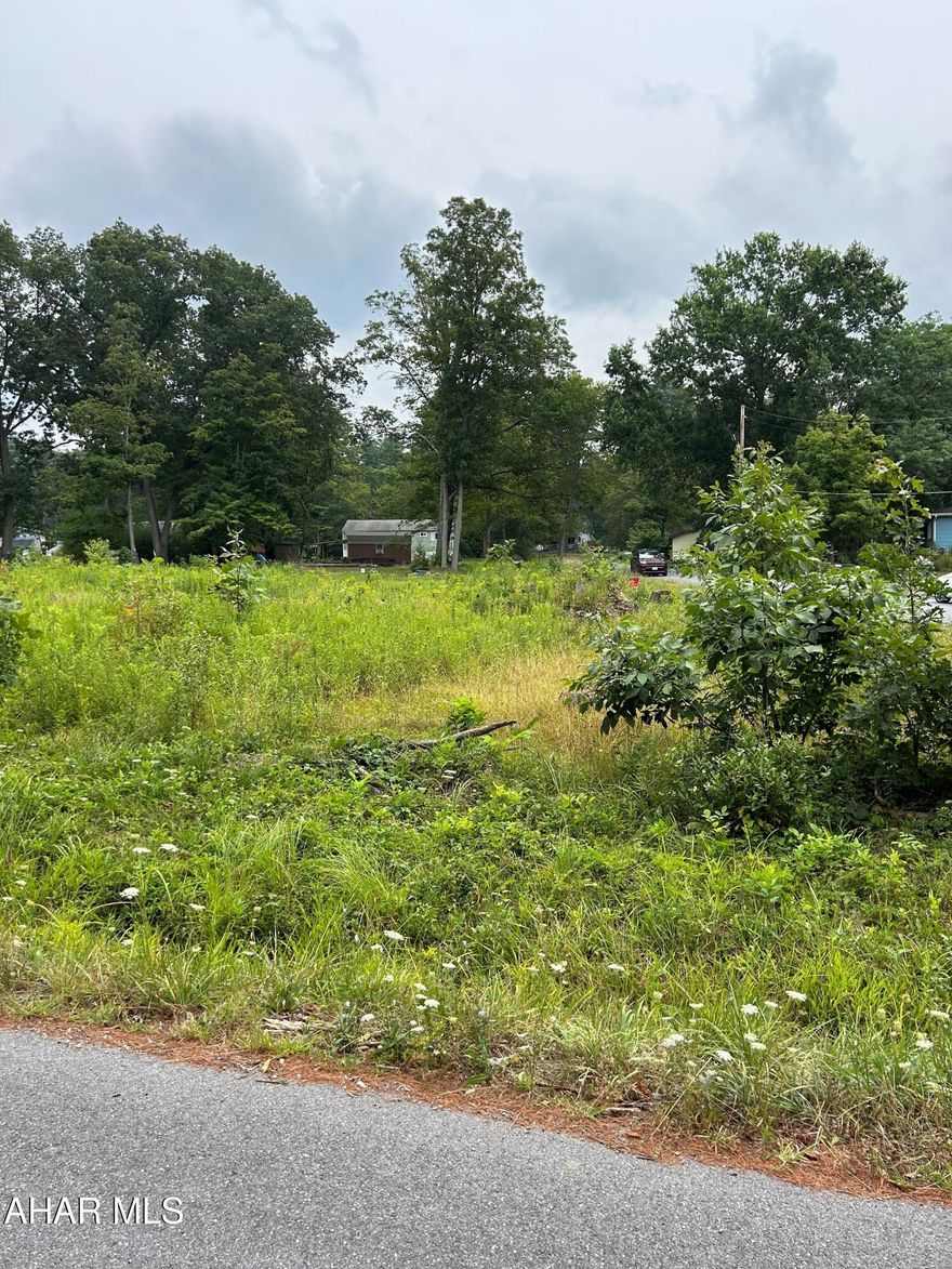 Build the home of your dreams on this beautiful corner building lot.  Public sewer available.   Great location close to public amenities.