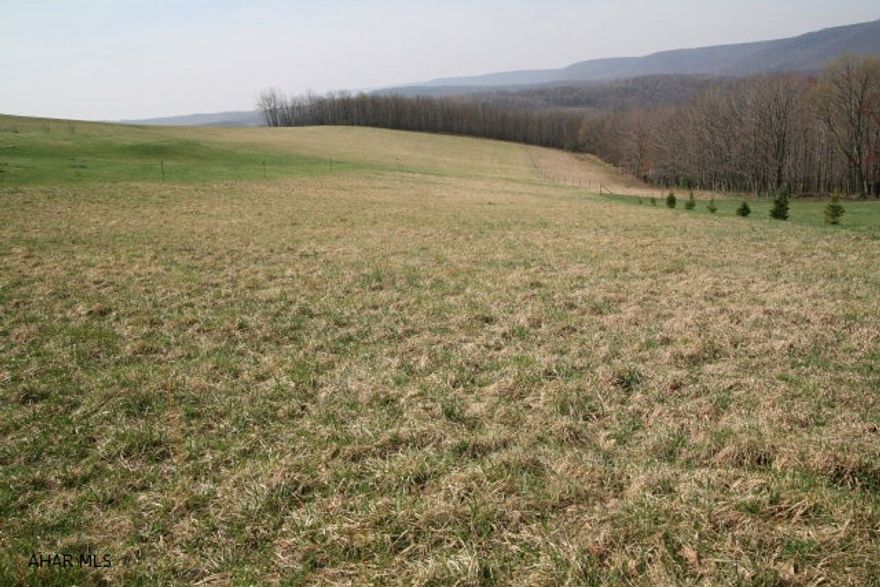 Gently sloping 1.64 acre lot in a beautiful country setting with a mountain view. Property has been perk approved twice but will require an update due to time elapse. Electric is run to the site. Borders a winter-maintained township road.