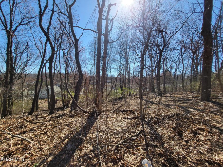Location, location, location!  They aren't making anymore land, so get this while you can!  Wonderful location that is convenient to the campus.  Have beautiful views through mature trees from your new home! Public utilities are available at the street.