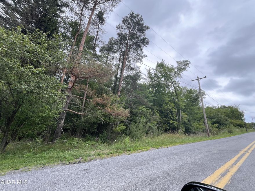 Dream of what you can do with these 8 acres bordering Peaceful Valley Road . Lot is mostly wooded with a small stream on the property.  Water and Electric available at the street and public sewer runs across the property parallel to the road.  Seller is willing to subdivide into smaller lots. The property is in the 300 block of Peaceful Valley Road.  Look for the for sale sign.