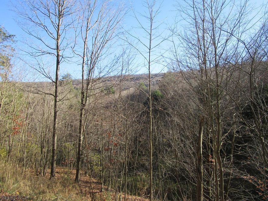 Looking for a large wooded tract?  If so here it is -  292 acres of wooded land with a small stream and hard road frontage. Appears good for hunting or to just get away.