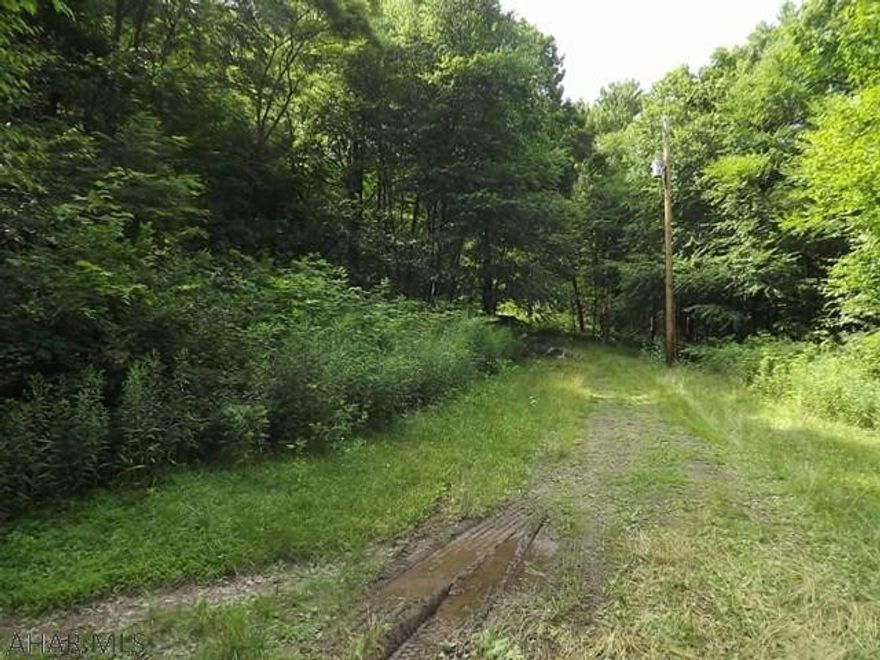 Excellent and private location on 12+ wooded and private acreage!  3 different perc sites. In an area of nice homes!