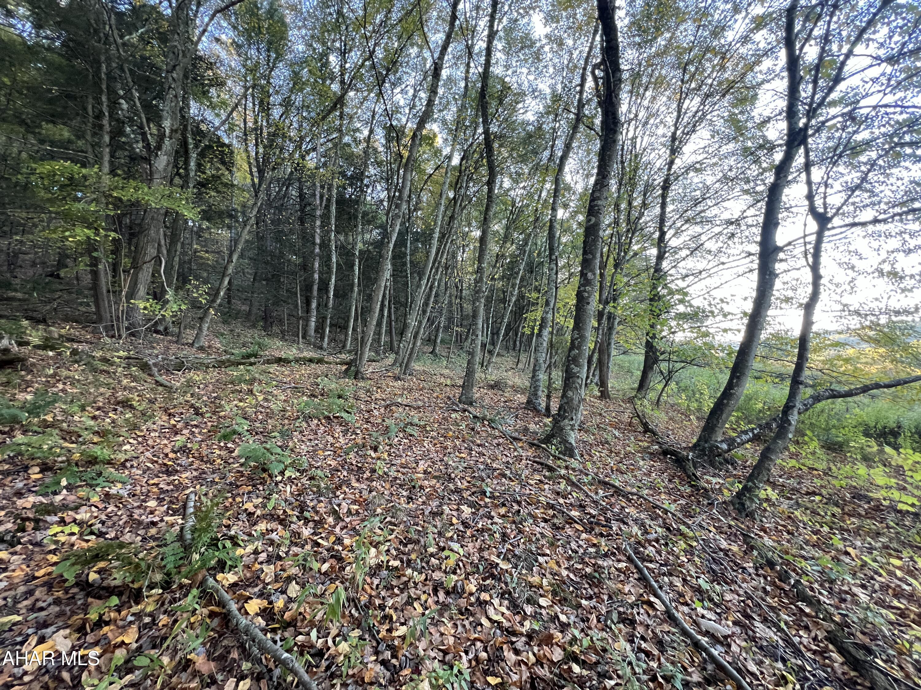 Cliffside Acres - Commercial Sale