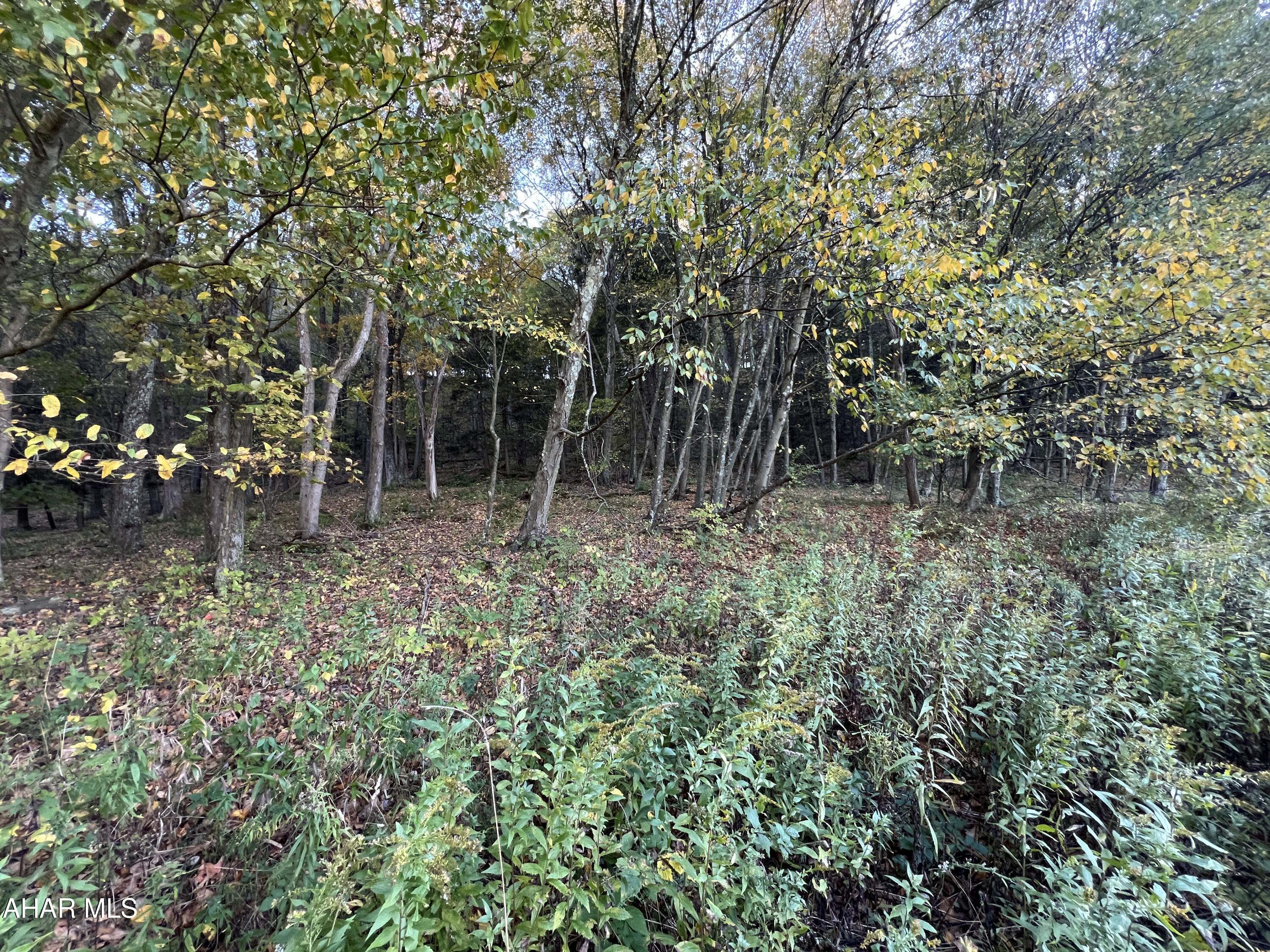 Cliffside Acres - Commercial Sale