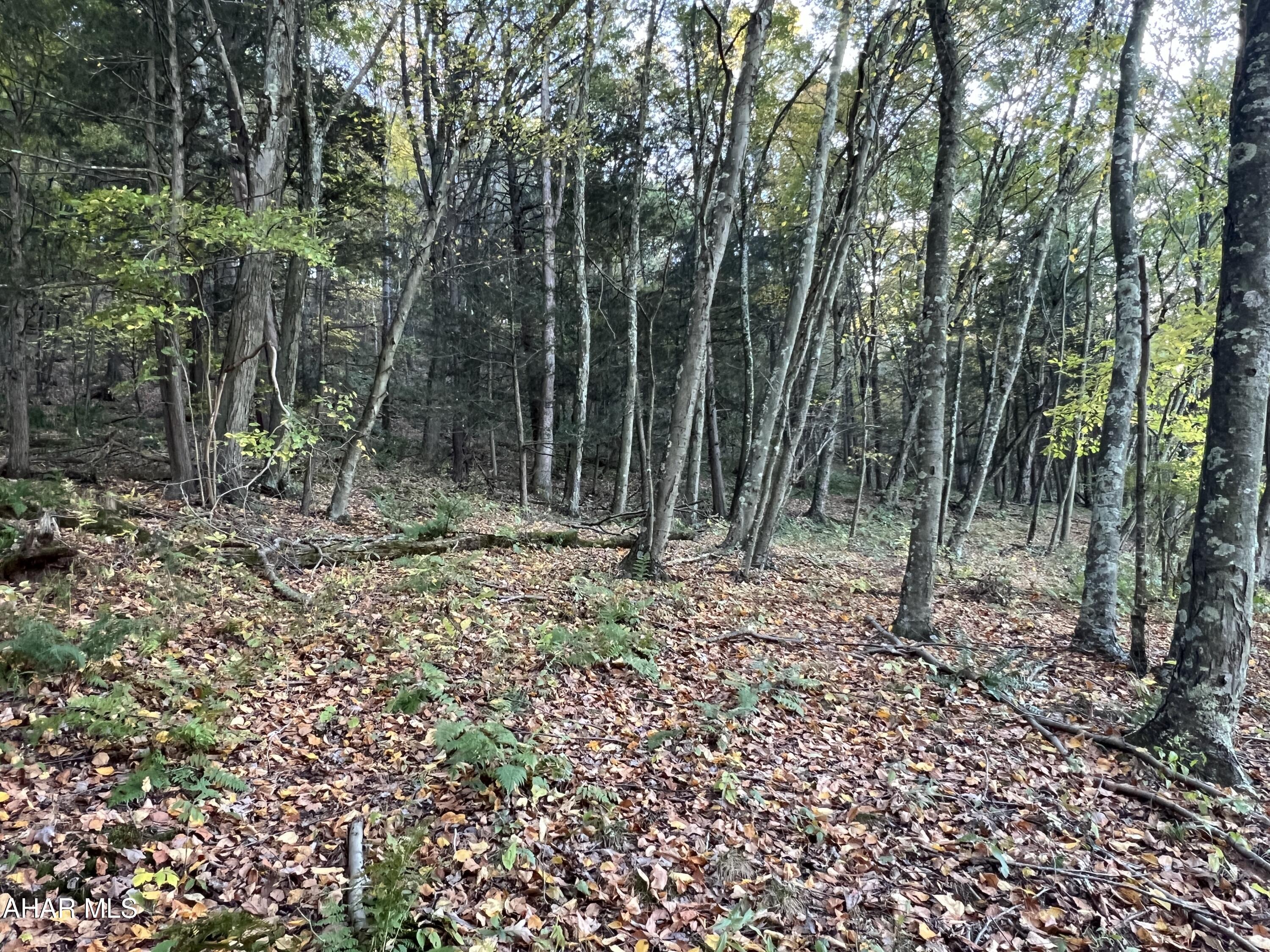 Cliffside Acres - Commercial Sale