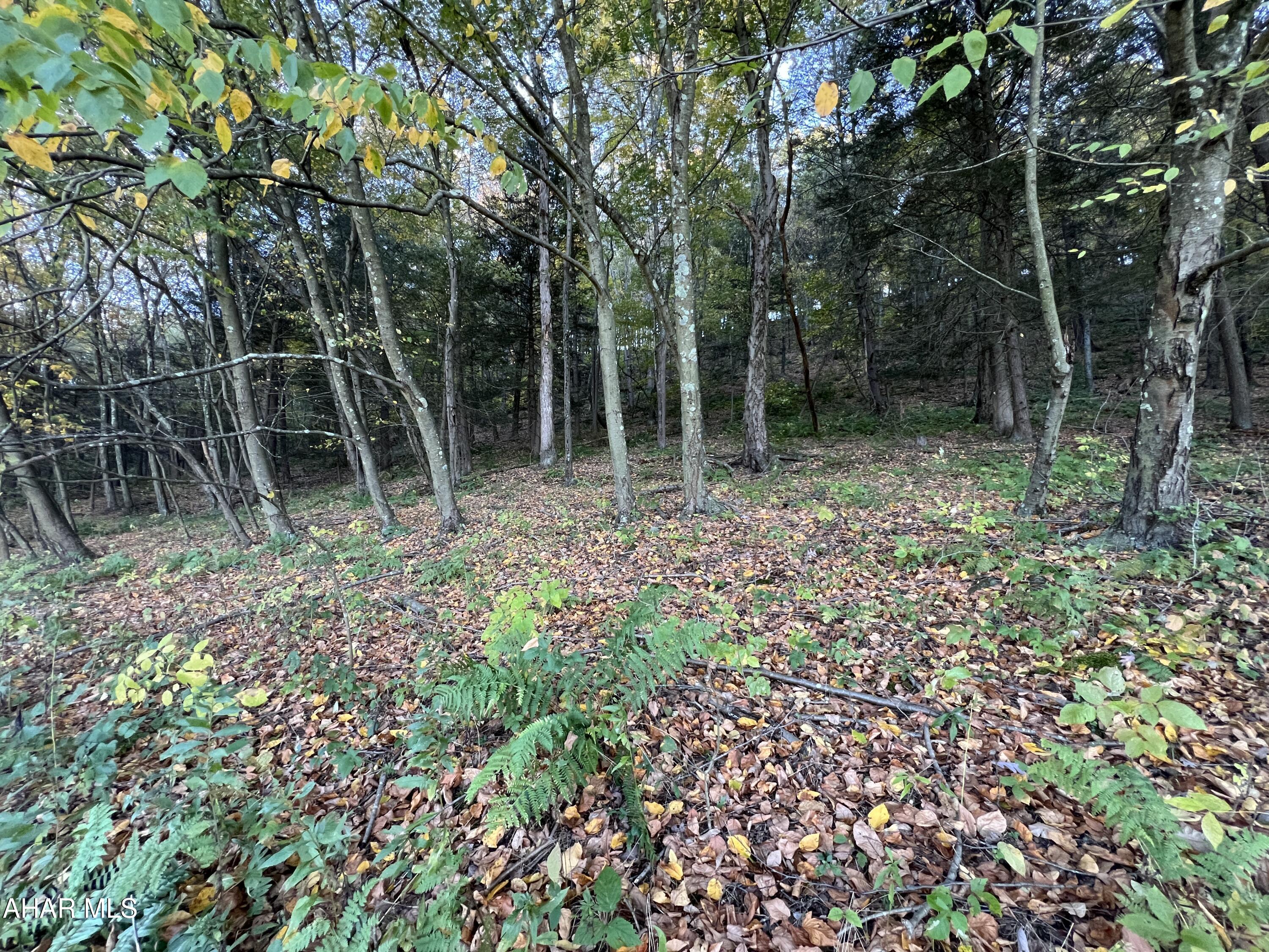 Cliffside Acres - Commercial Sale