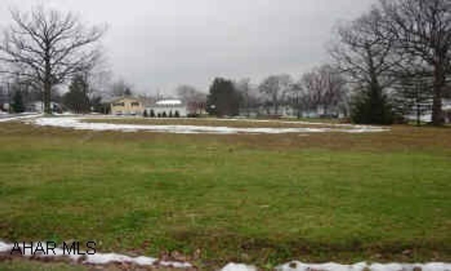 NICE LEVEL LOT.  PUBLIC UTILITIES AVAILABLE.  WOULD NEED A WELL.