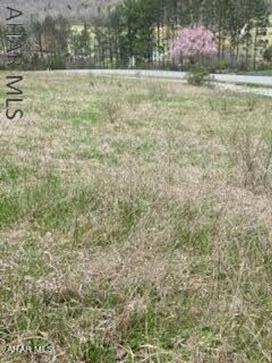 Beautiful building lot - Countryside Estates! Gorgeous views. Public sewer - must drill well.