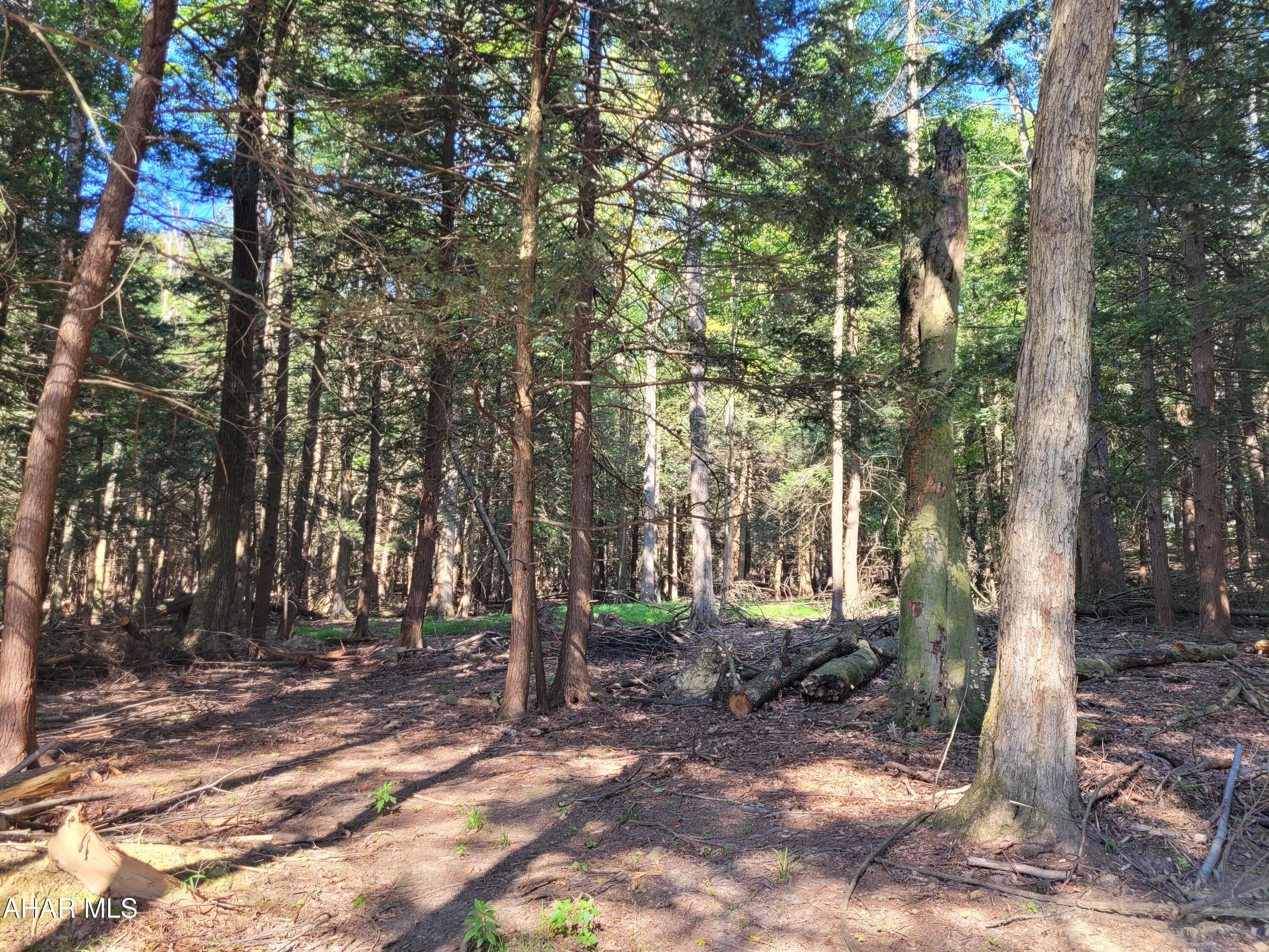 Glendale Yearound - Land