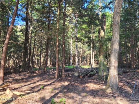 Photo for 0 Eagle Crest Lane