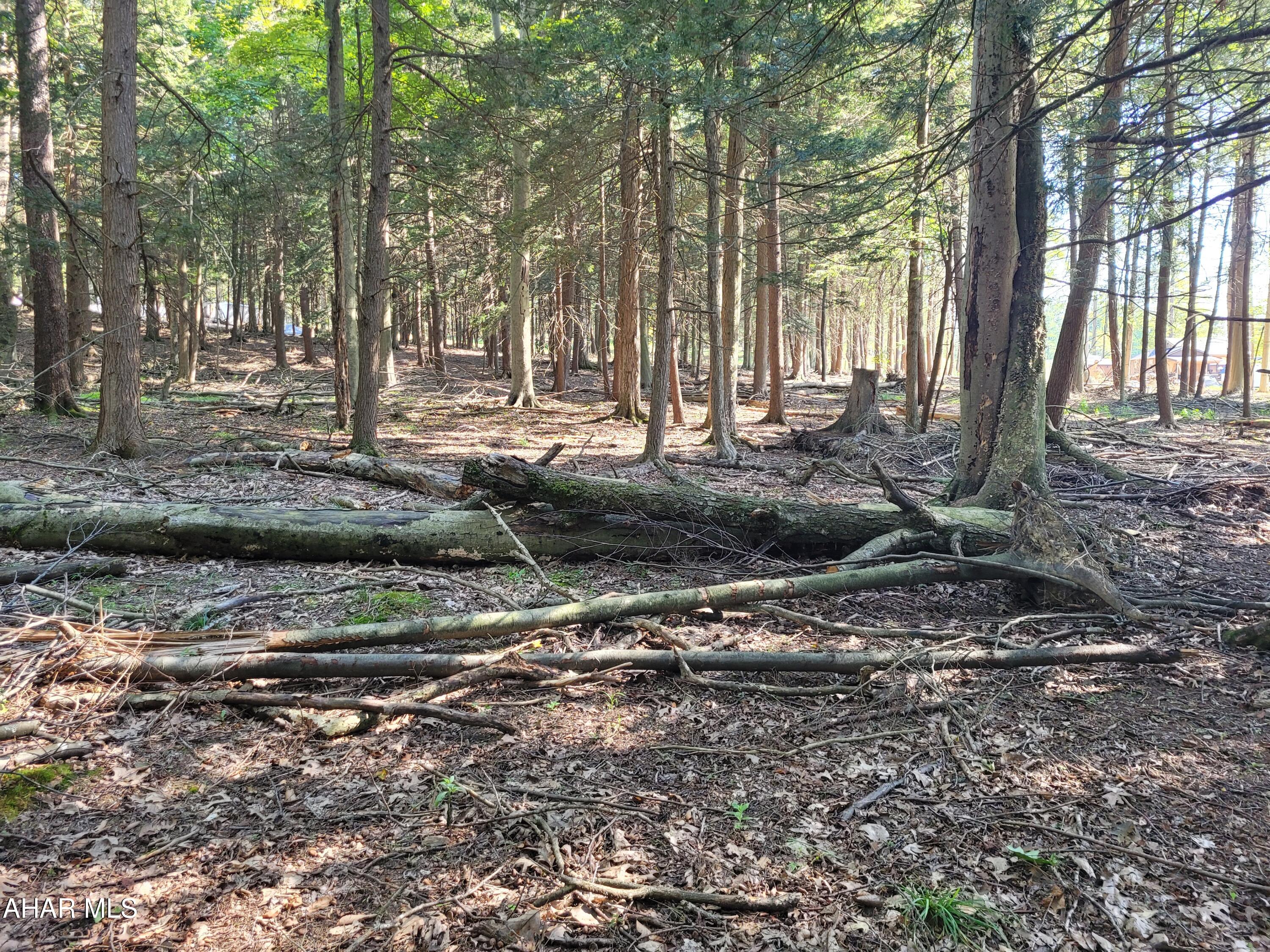 Glendale Yearound - Land