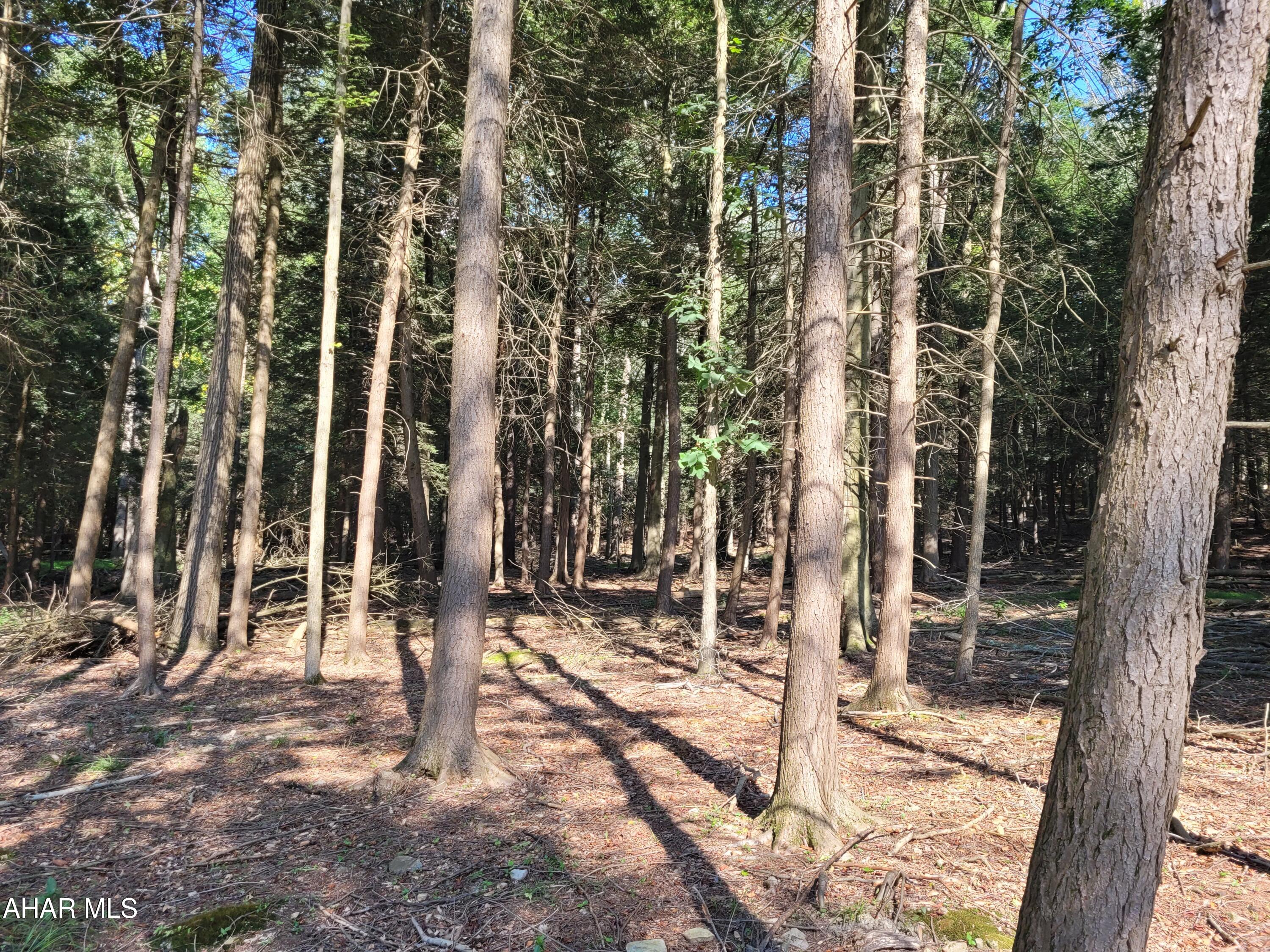 Glendale Yearound - Land