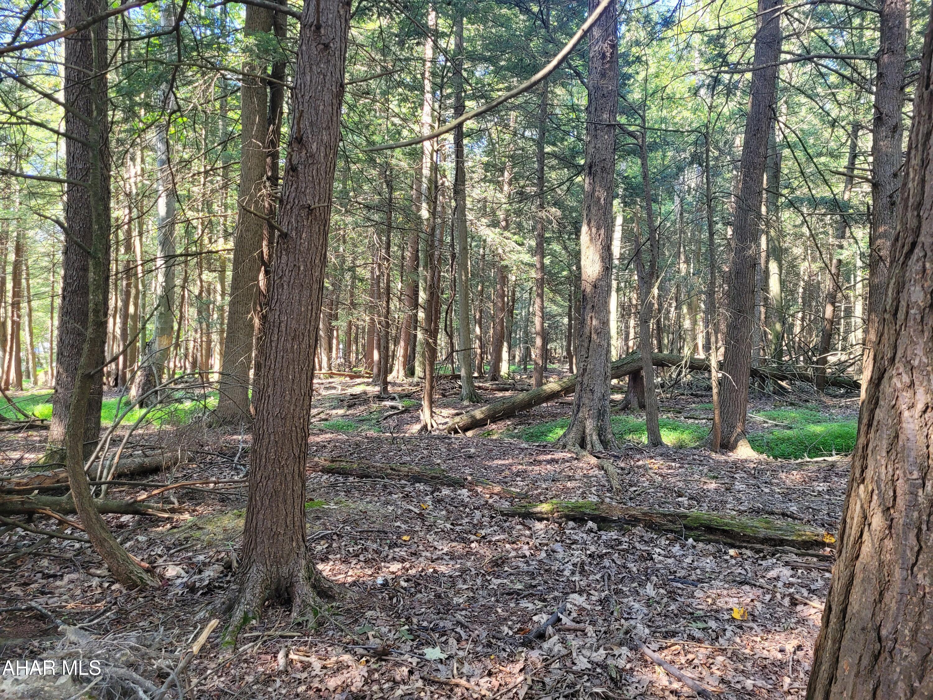 Glendale Yearound - Land