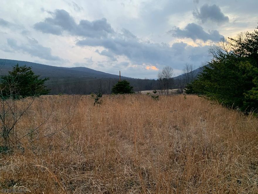 Nice partially wooded 27+/- acre parcel of land located in Bedford County, PA. Property offers nice views of the Mountains and could make an excellent location to build a getaway or full time residence. Sherman Valley Run Creek goes through a section of the property and PA State Game Lands is located not far away.