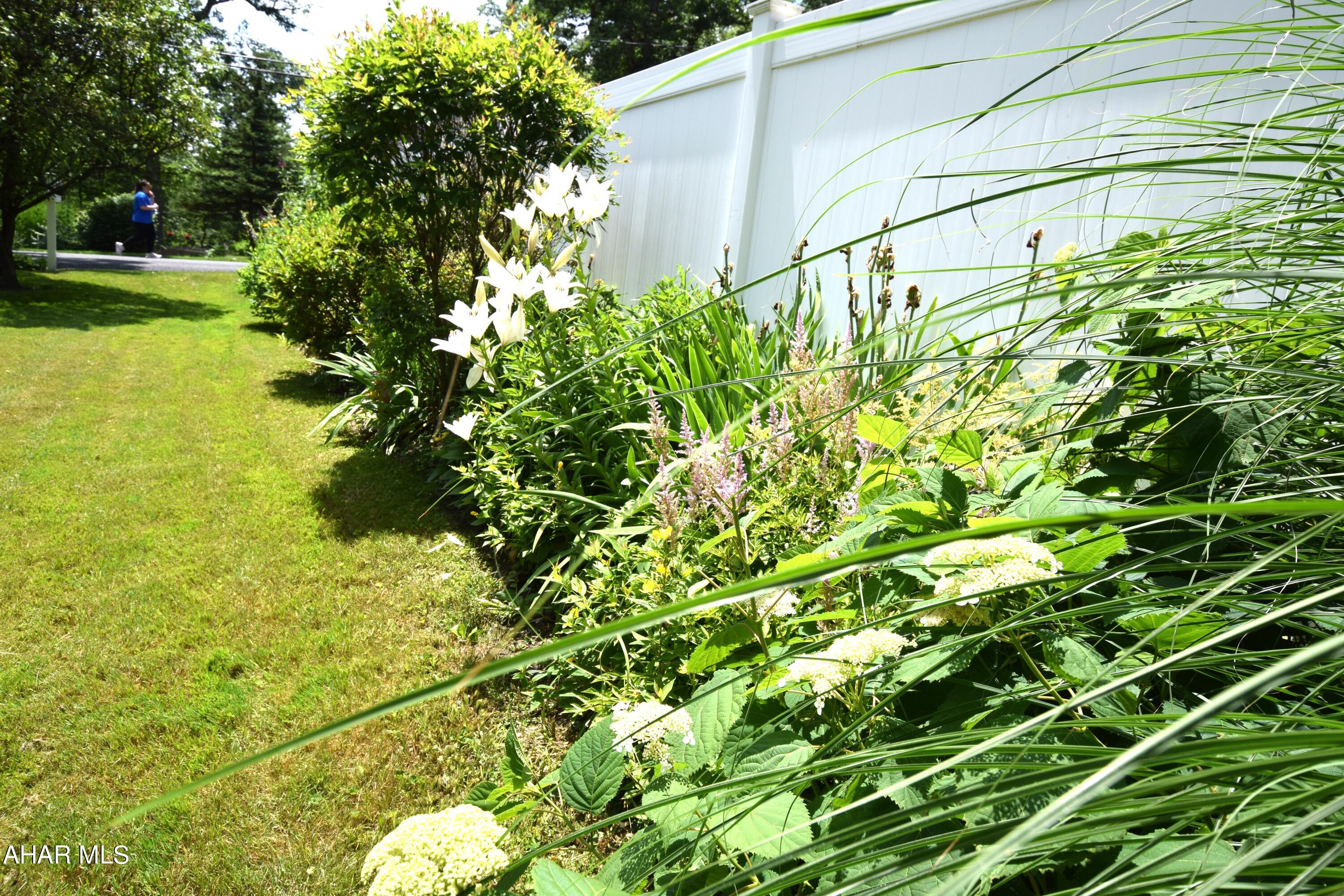 Beverly Hills - Residential