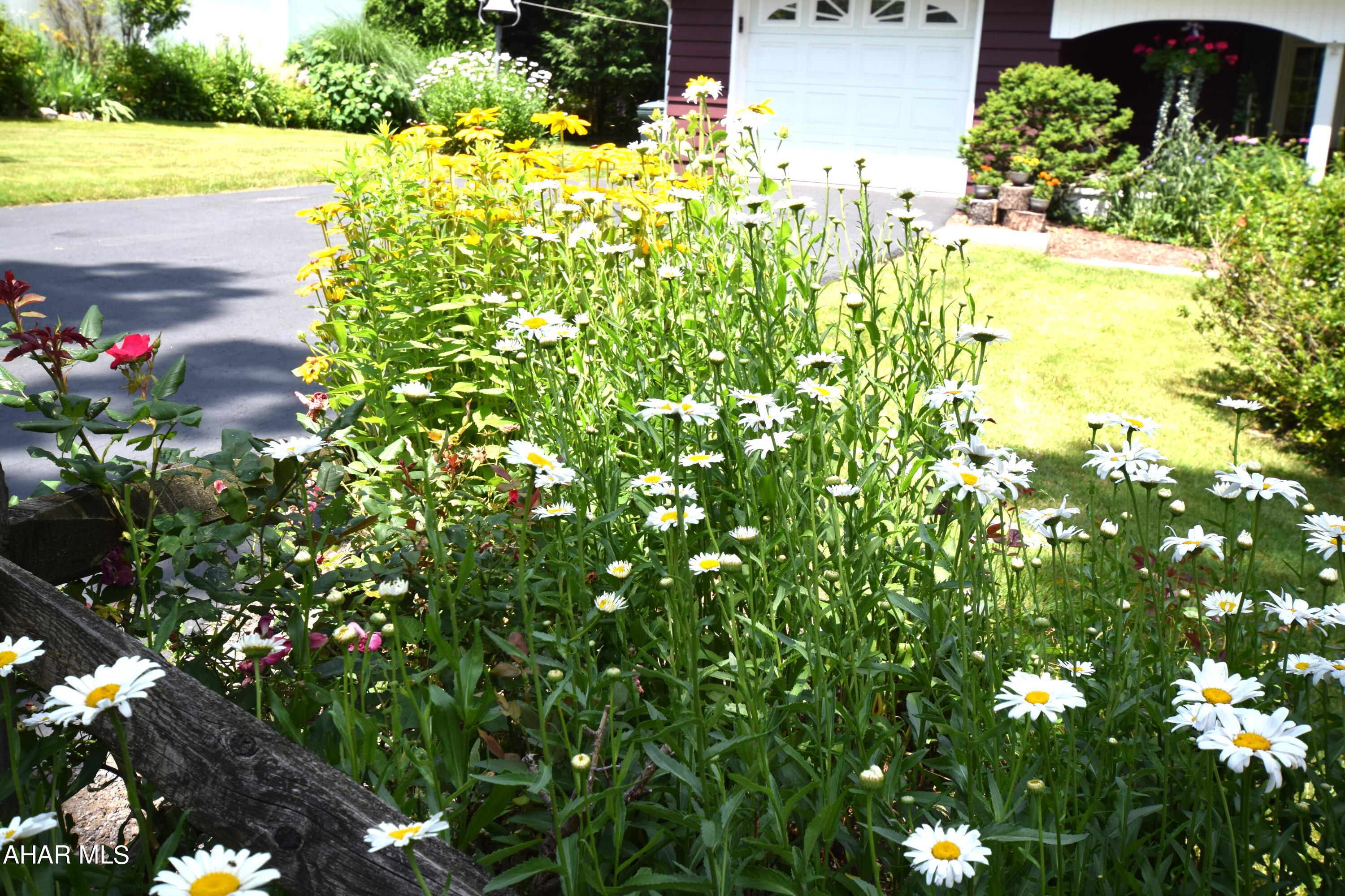 Beverly Hills - Residential