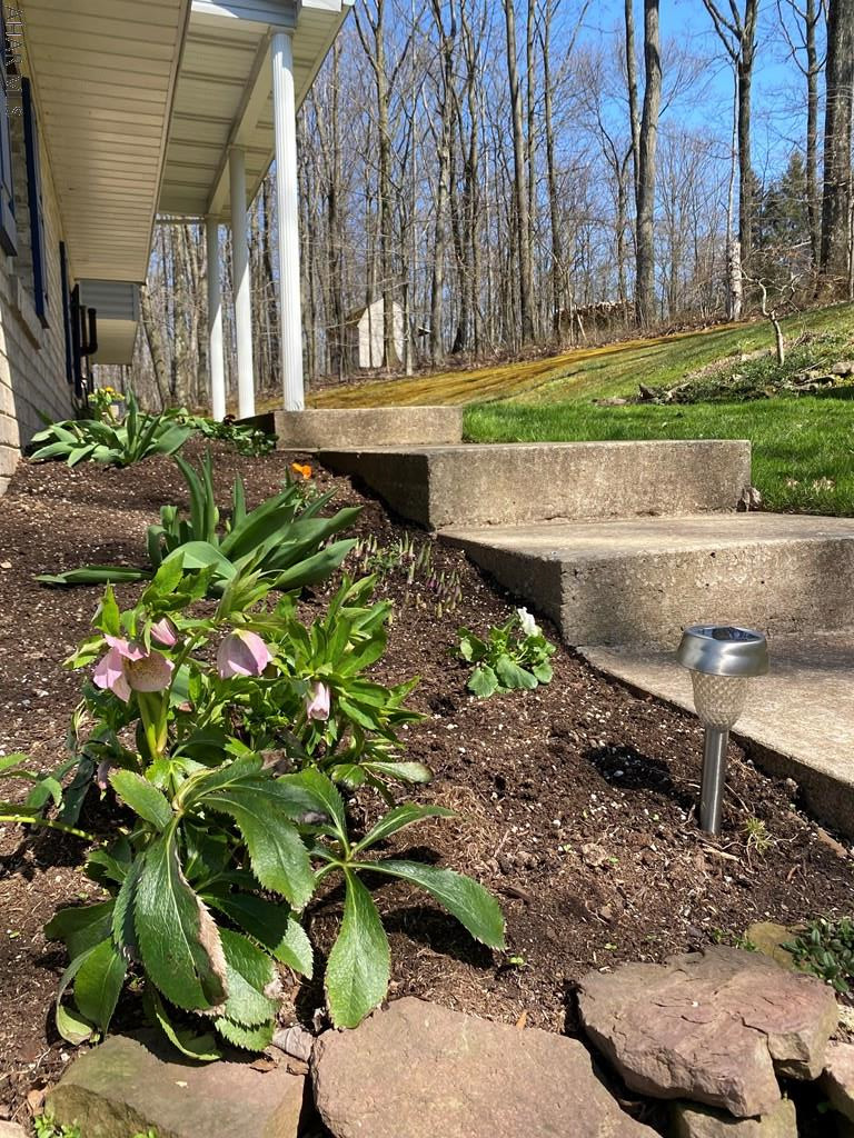 Carson Valley - Residential