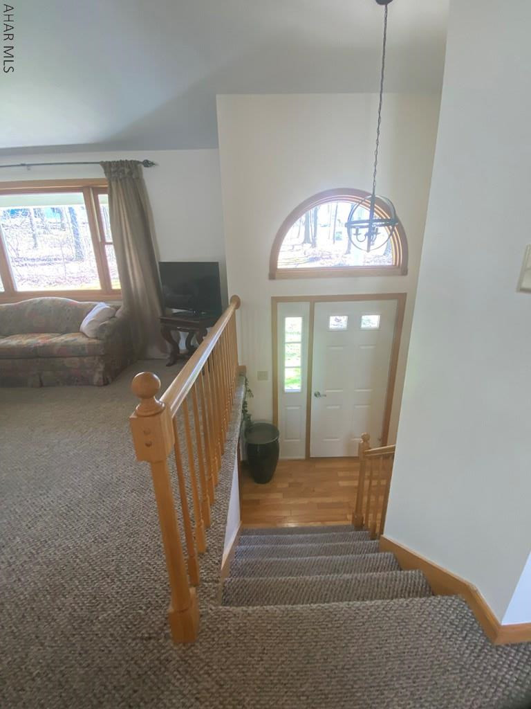 Carson Valley - Residential