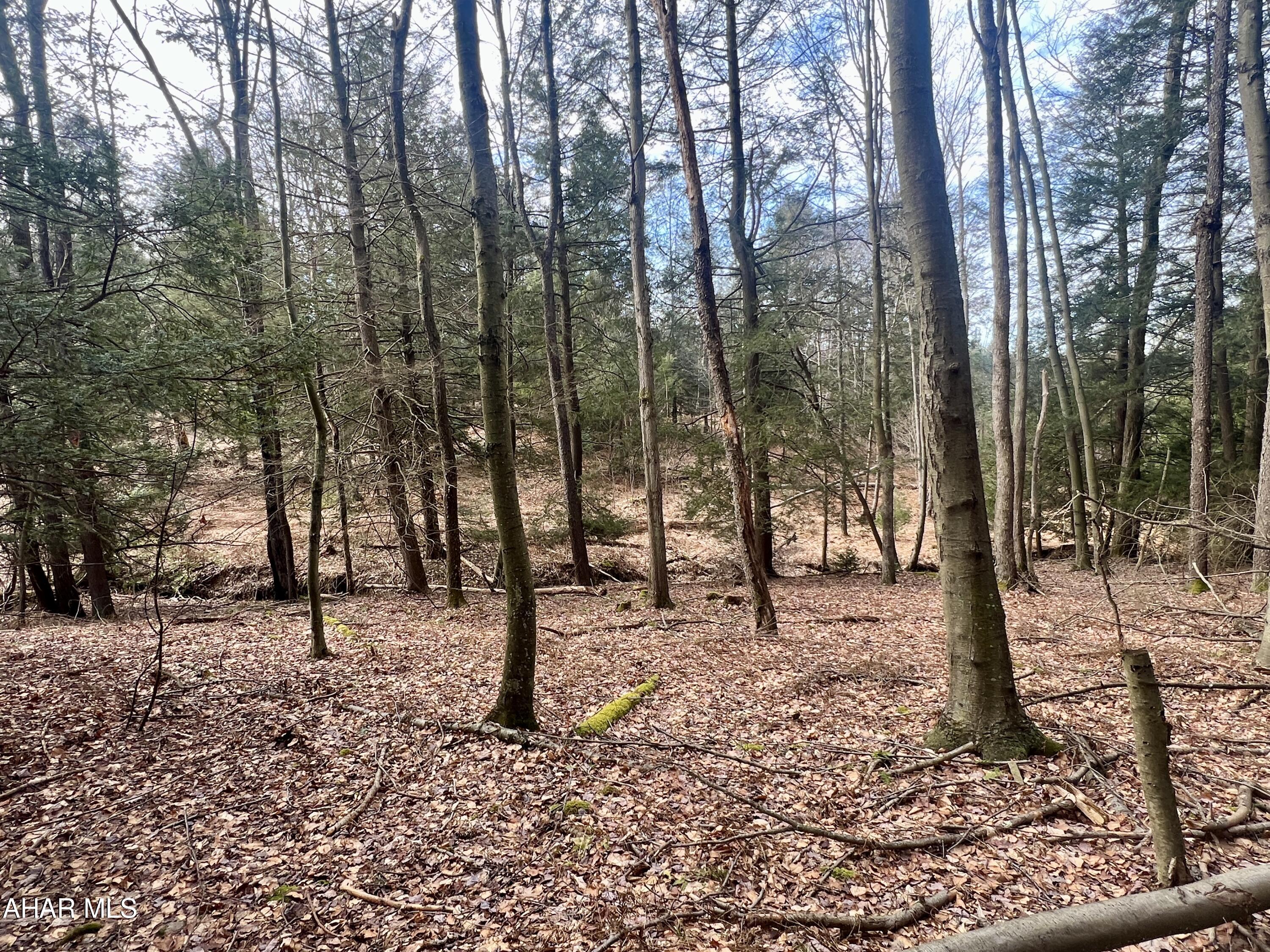 None - Commercial Sale