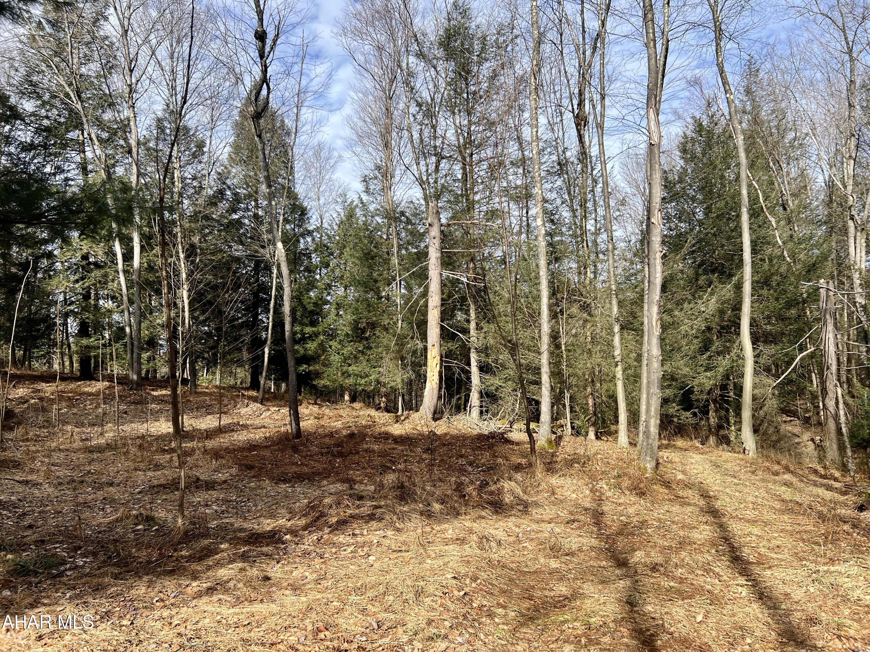 None - Commercial Sale