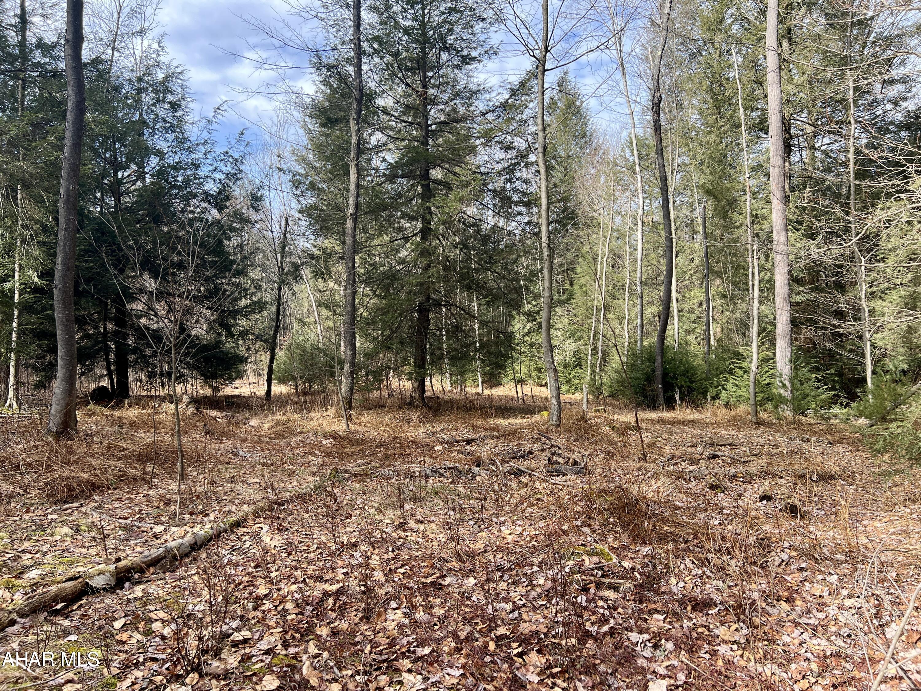 None - Commercial Sale