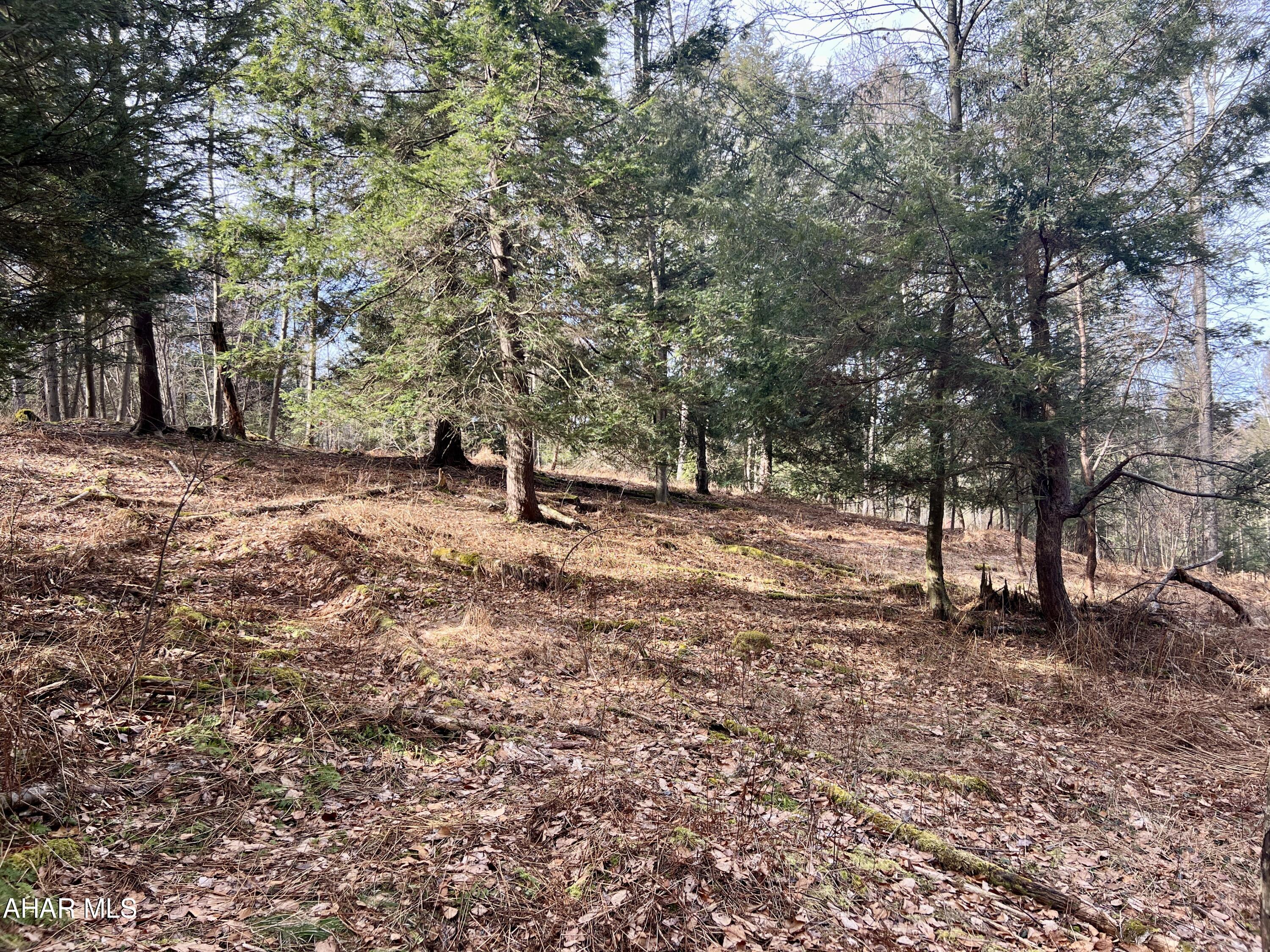 None - Commercial Sale