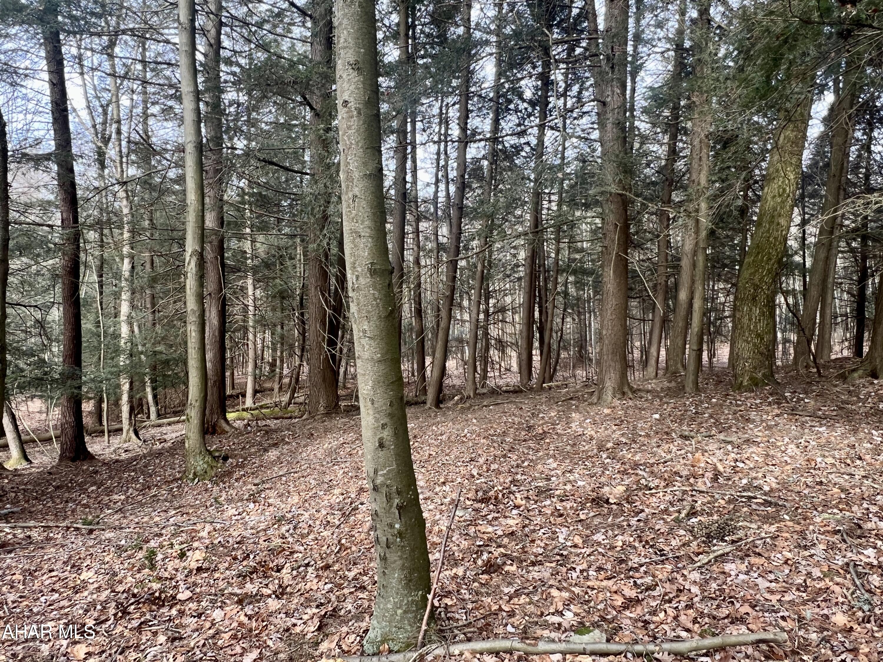 None - Commercial Sale