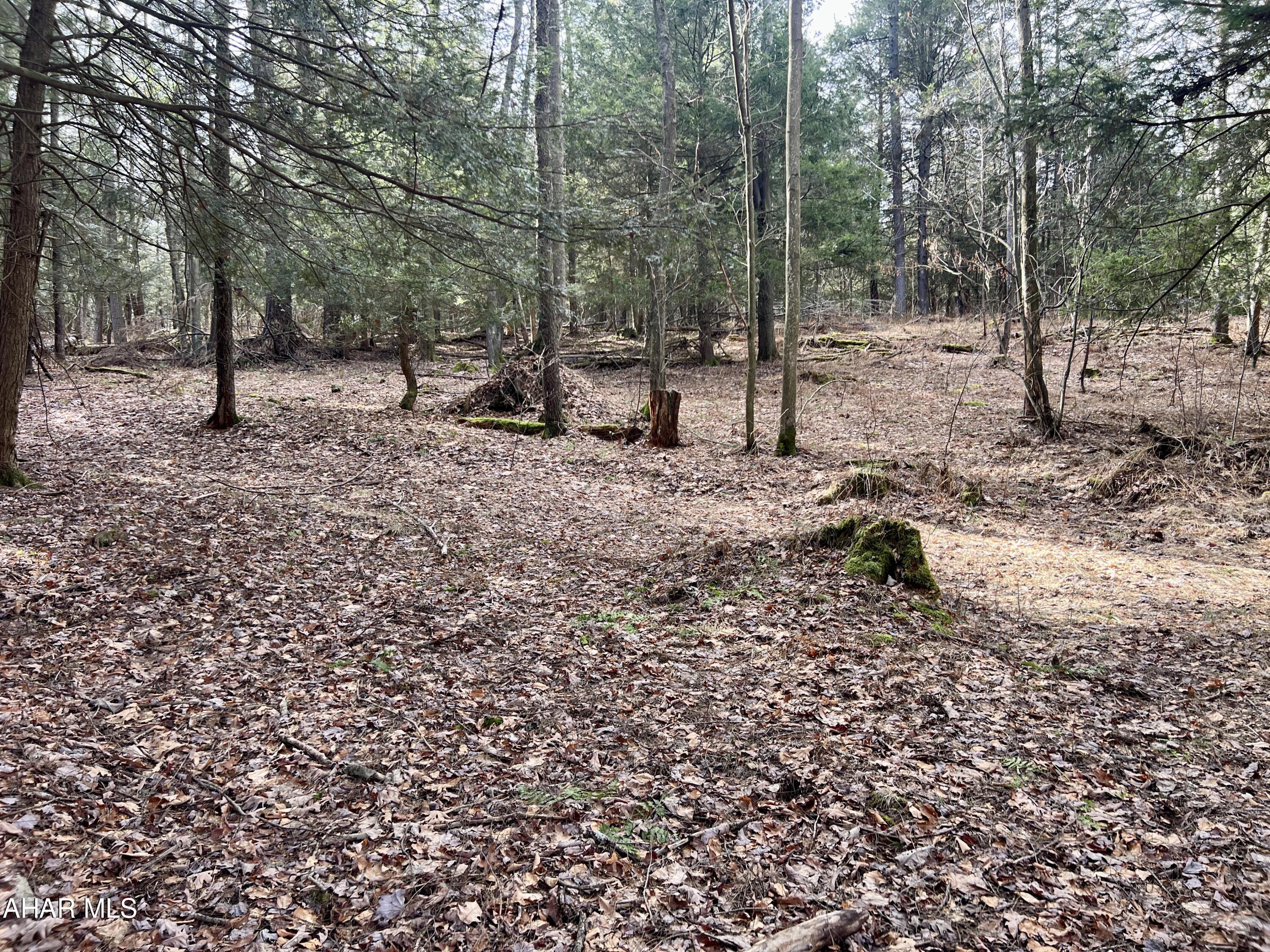 None - Commercial Sale