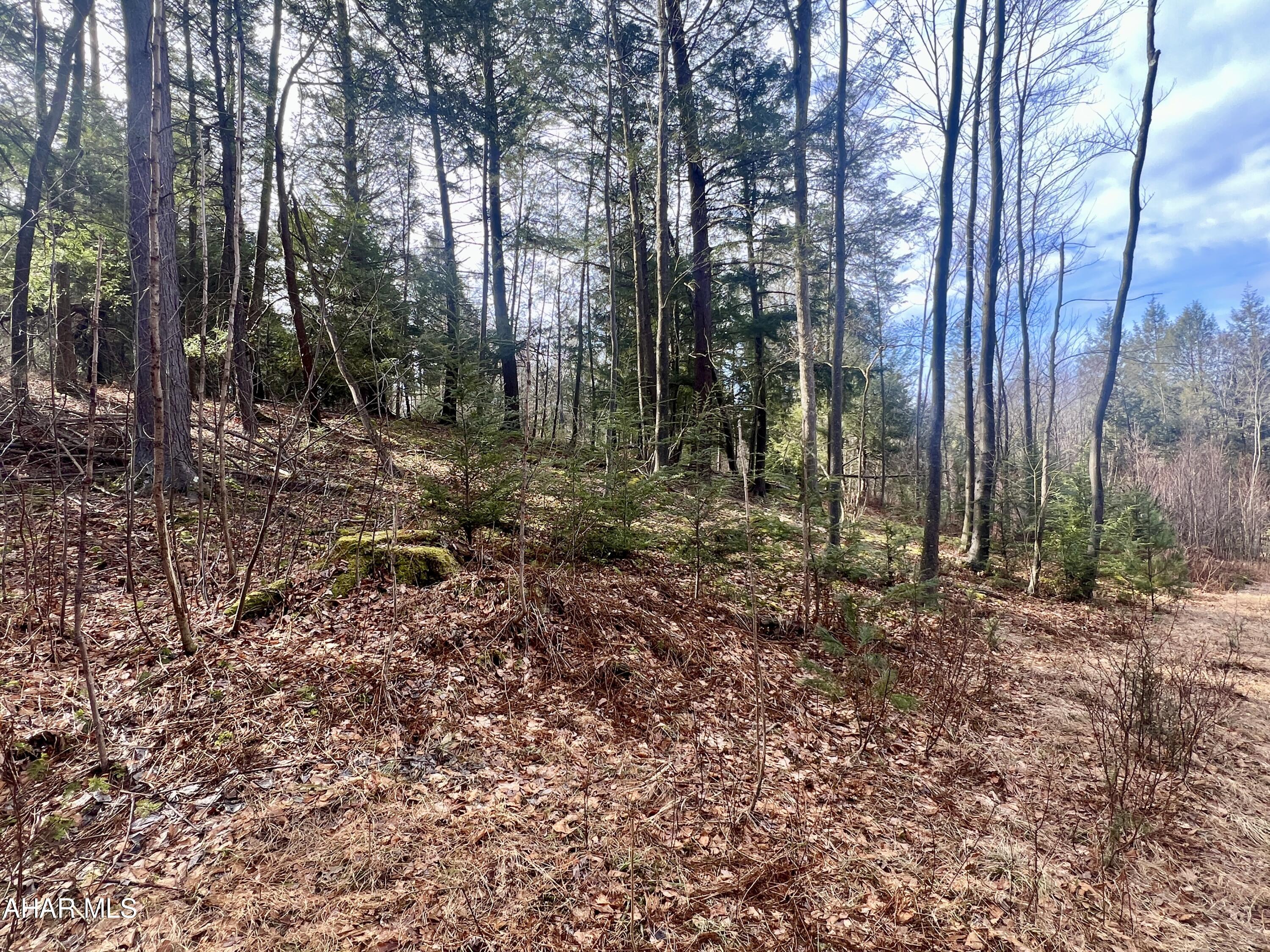 None - Commercial Sale