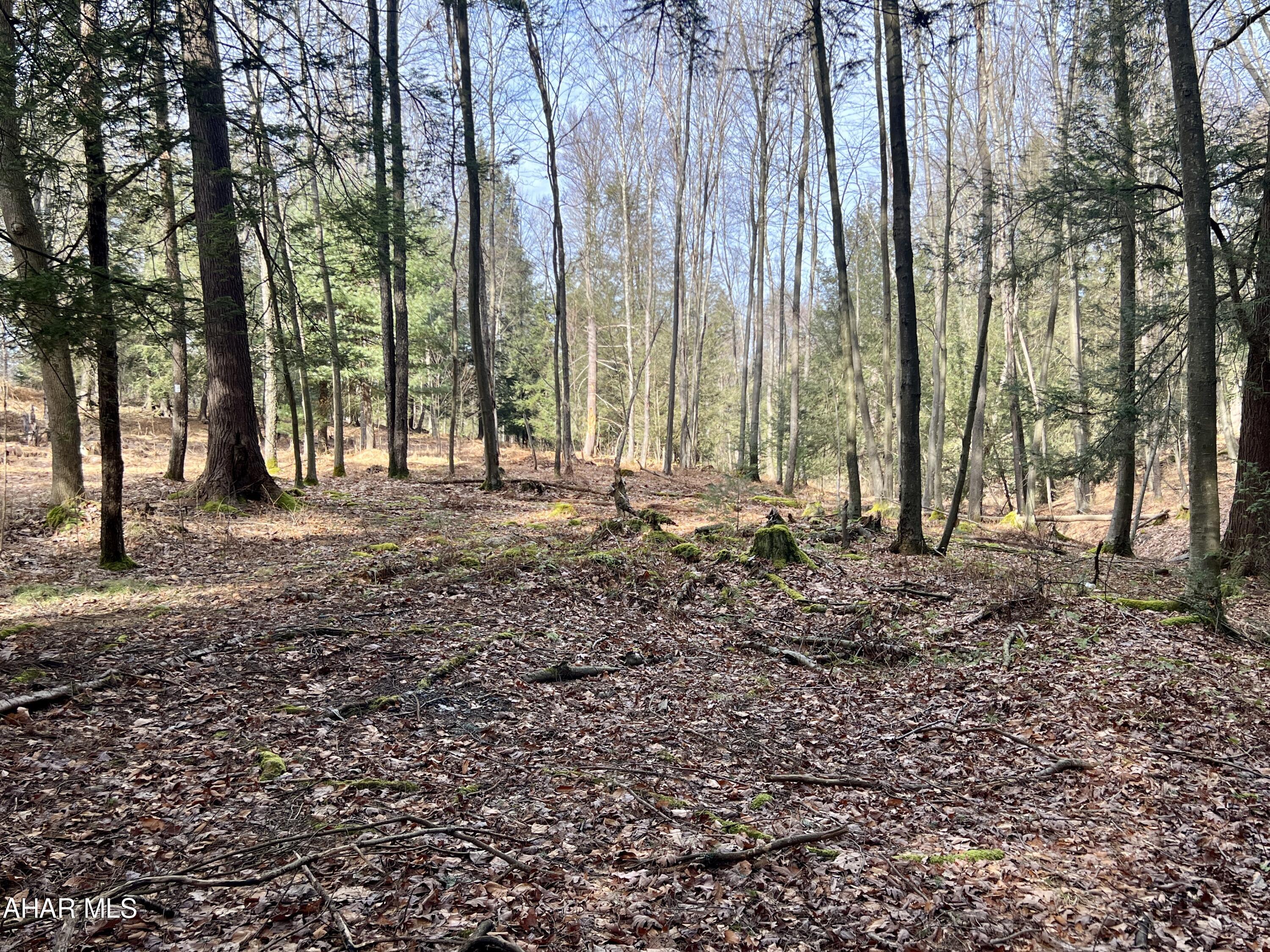 None - Commercial Sale