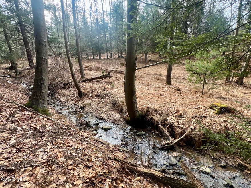 12.2+/- Acres with a small stream. Would make a nice location to build a getaway or hunting camp. Property has been recently surveyed, and electricity and public water are located at the road.