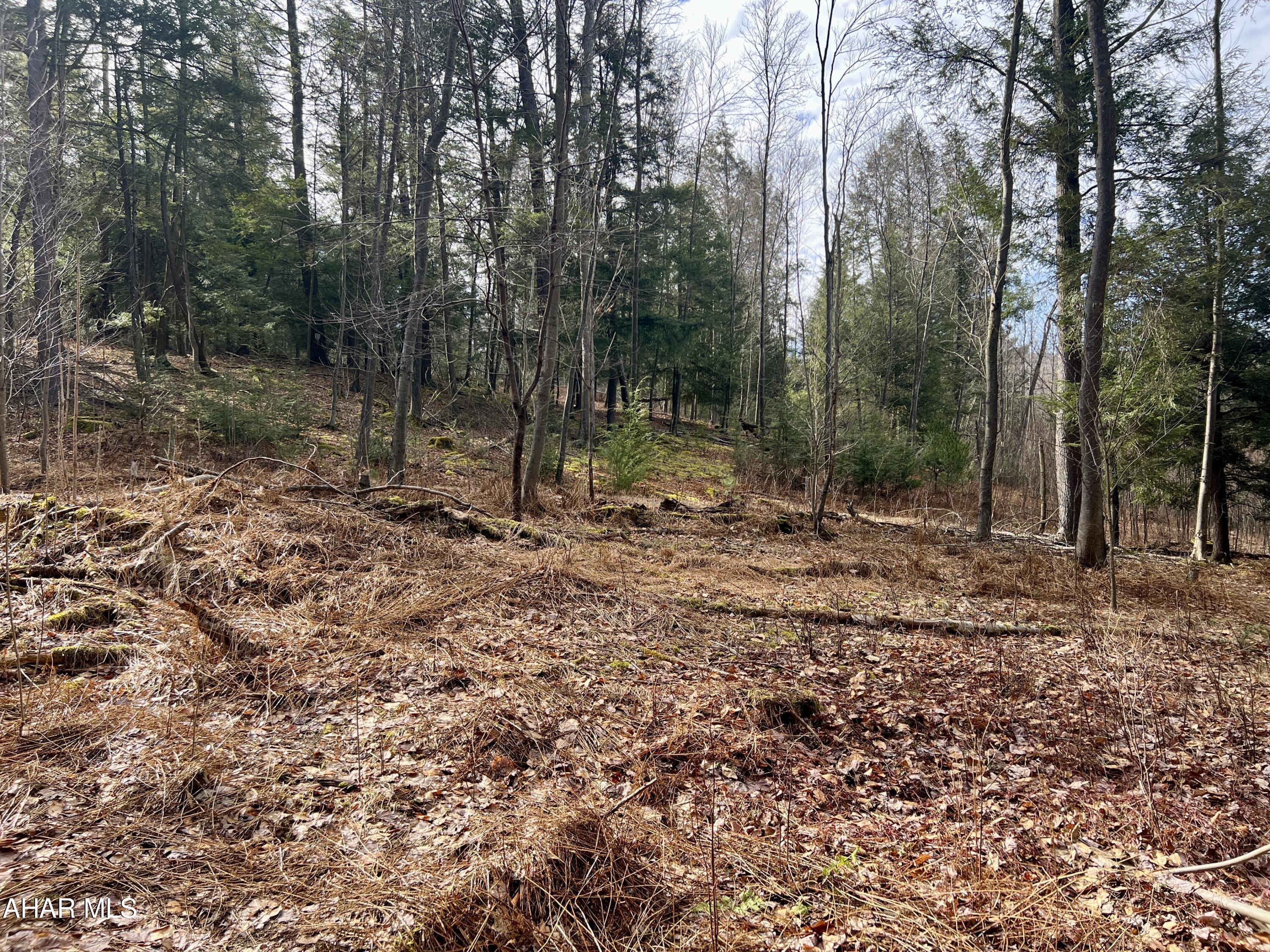 None - Commercial Sale