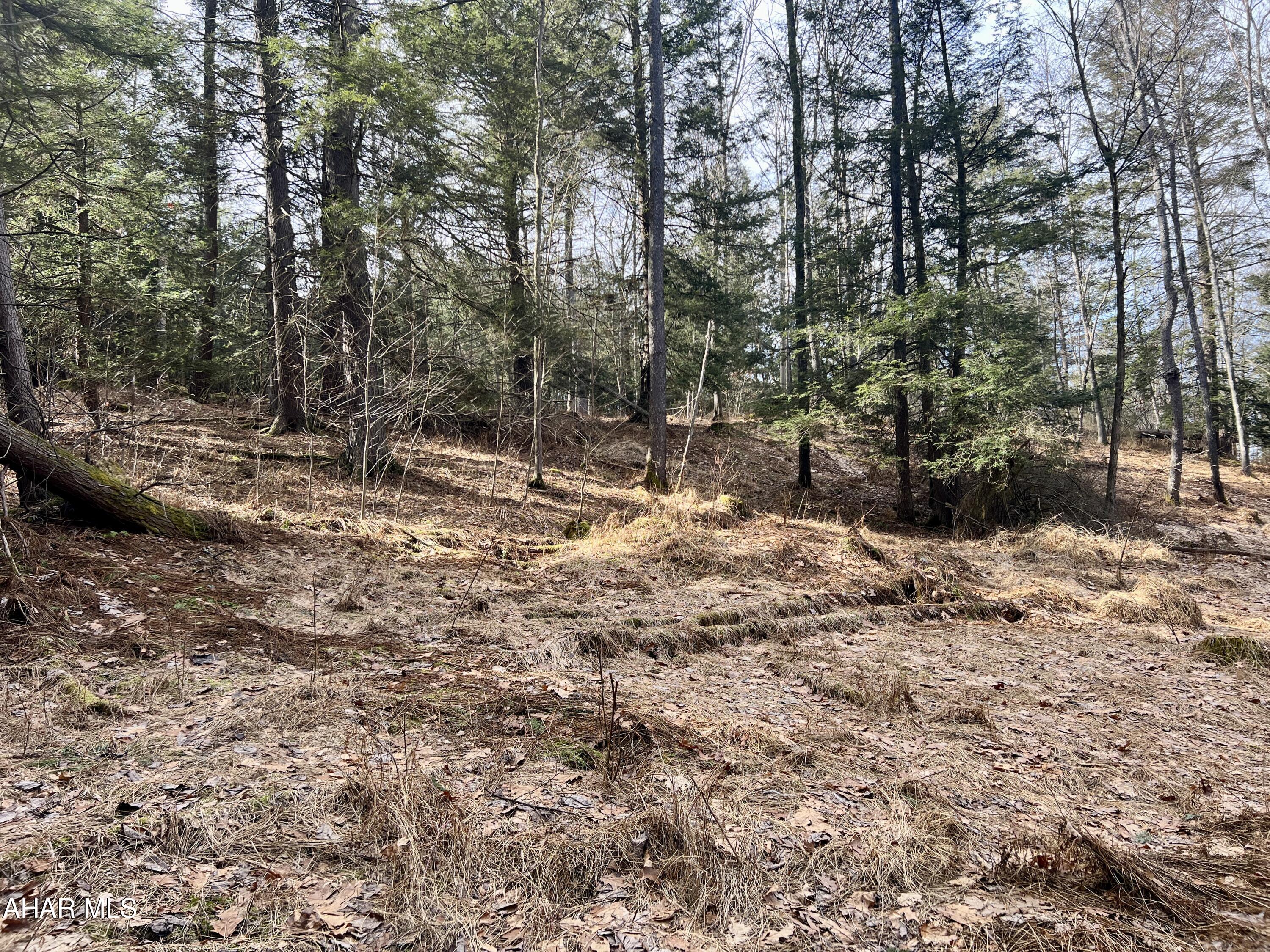 None - Commercial Sale