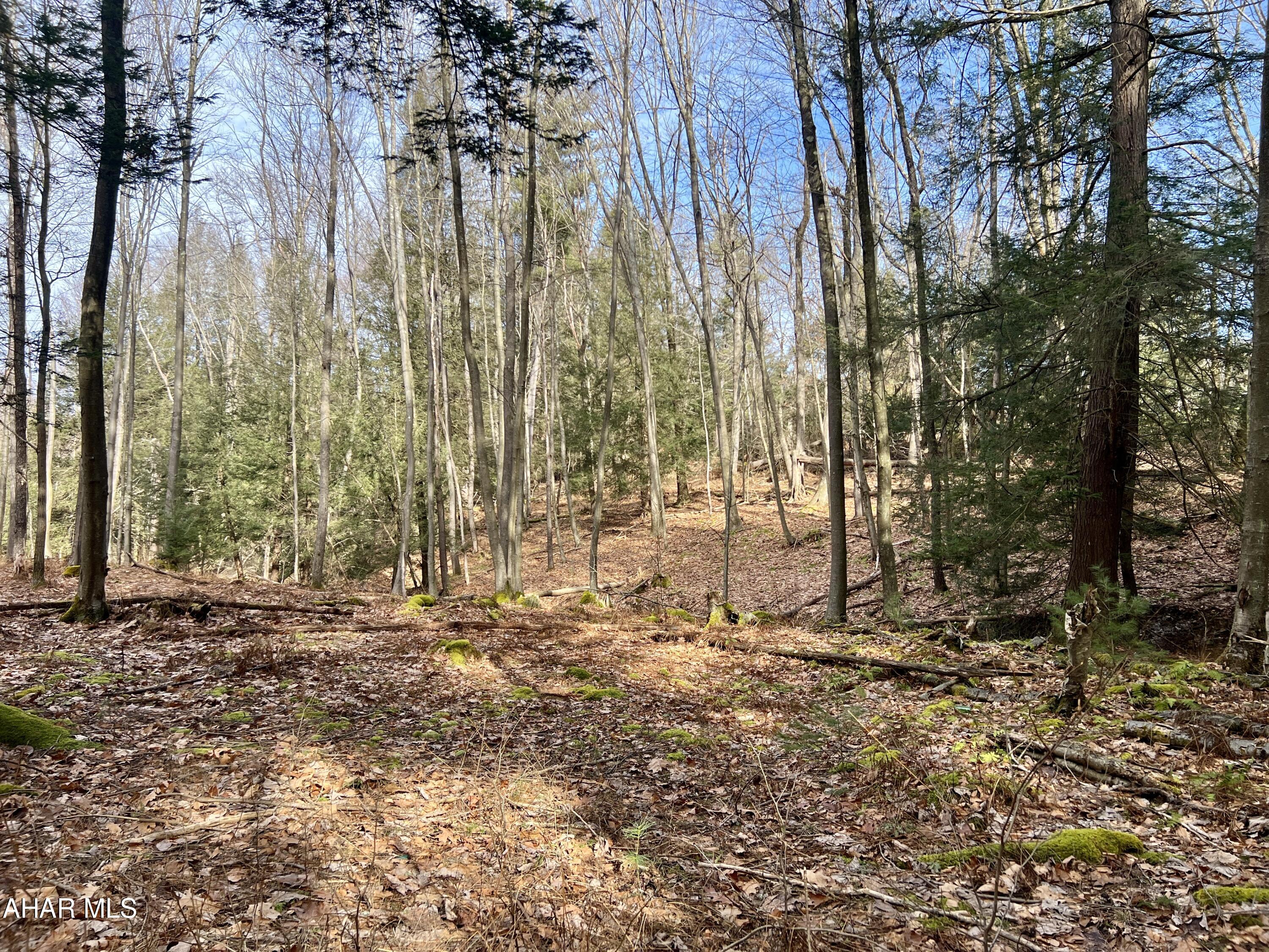 None - Commercial Sale